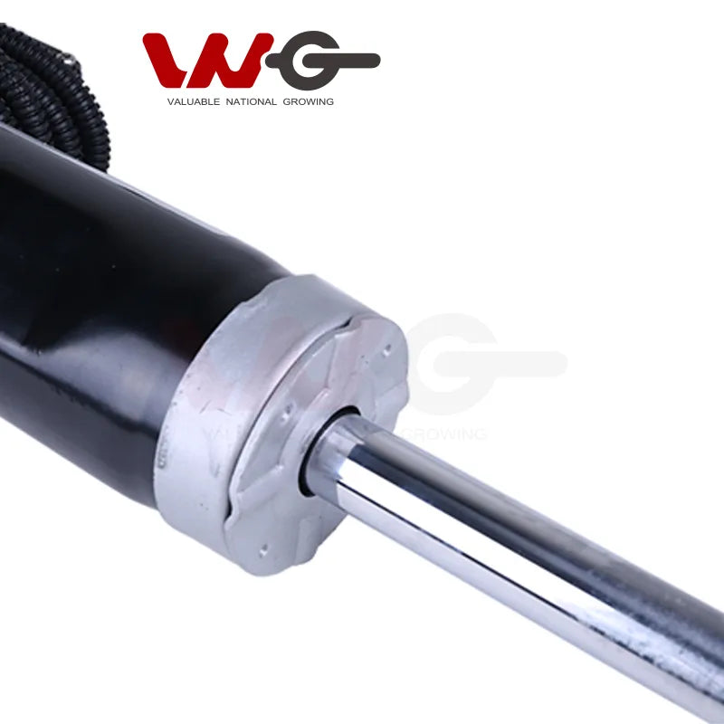 BMW X6 E71 Rear Left Shock Absorber — OE 37126794547