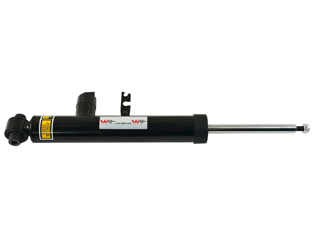BMW 3 Series G20 Rear left/right (two units) Shock Absorber — OE 37106895046