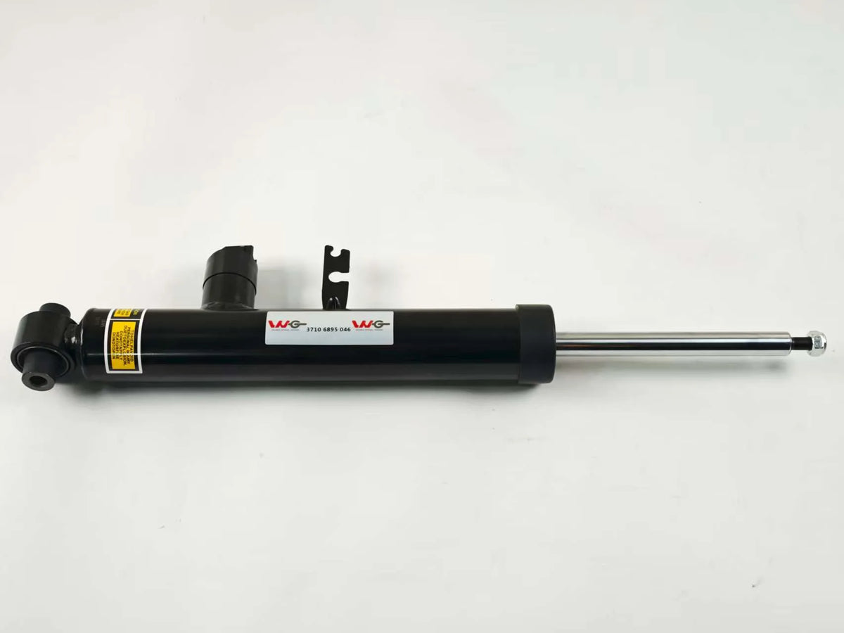 BMW 3 Series G20 Rear left/right (two units) Shock Absorber — OE 37106895046