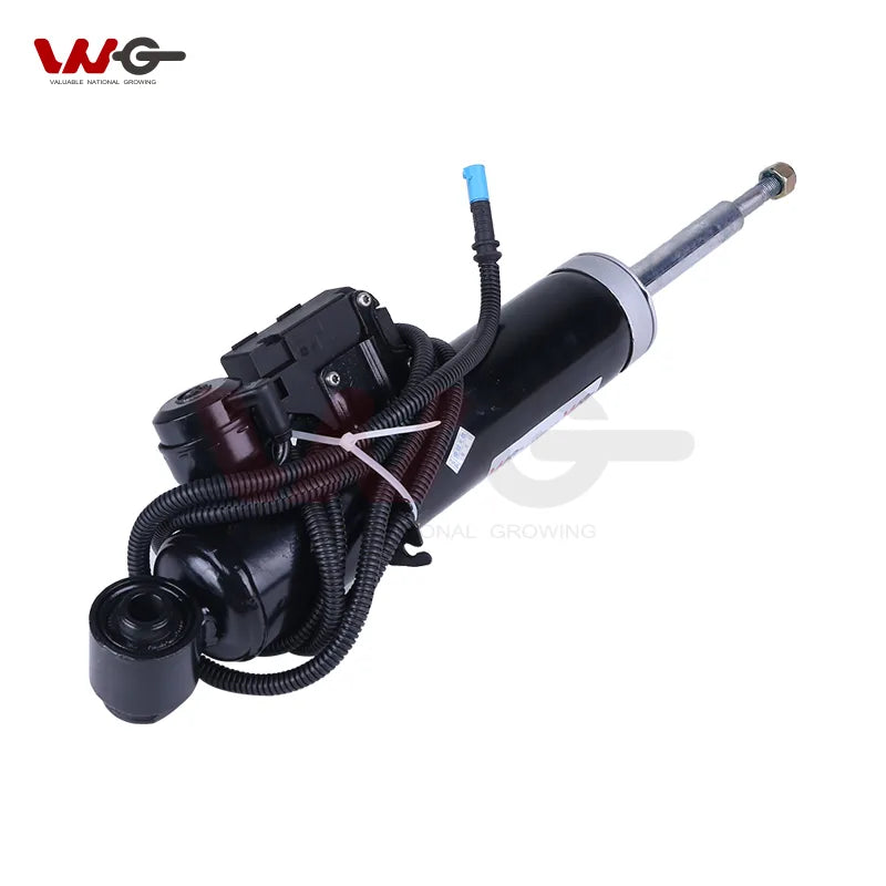 BMW X5 E70 Rear Right Shock Absorber — original supplier photo 1